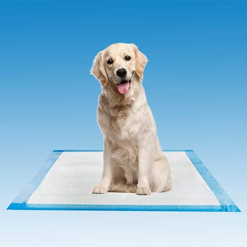 Henry Schein Disposable Underpads 17'' x 24'' Incontinence Pads, Bed Covers, Puppy Training | Thick, Super Absorbent Protection for Kids, Adults, Elderly | Liquid, Urine, Accidents