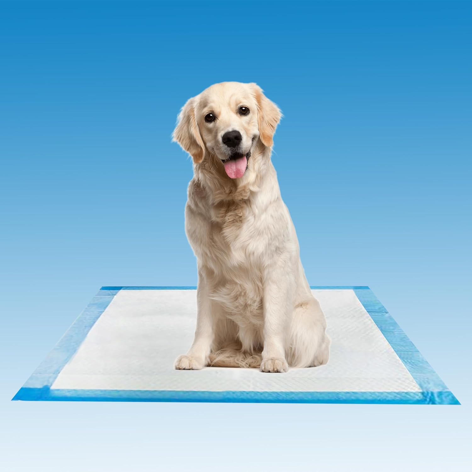 Henry Schein Disposable Underpads 23'' x 24'' Incontinence Pads, Bed Covers, Puppy Training | Thick, Super Absorbent Protection for Kids, Adults, Elderly | Liquid, Urine, Accidents